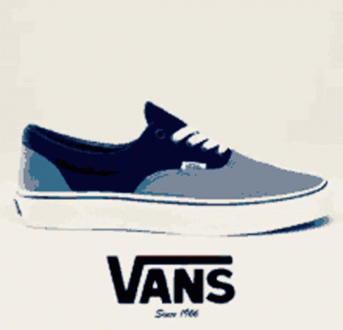A Picture Of A Blue Vans Shoe GIF