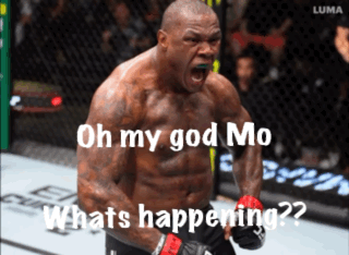 A Picture Of A Boxer With The Words Oh My God Mo Whats Happening GIF