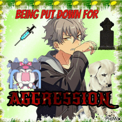 A Picture Of A Boy And A Dalmatian Dog With The Words Being Put Down For Aggression GIF