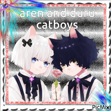 A Picture Of A Boy And A Girl With The Words Aren And Duru Catboys On The Bottom GIF