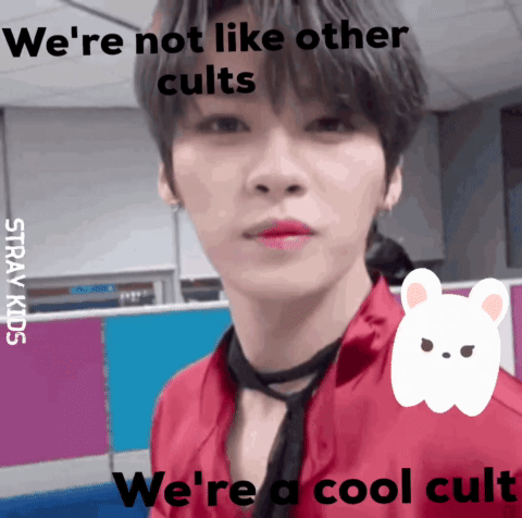 A Picture Of A Boy With The Words We 'Re Not Like Other Cults GIF