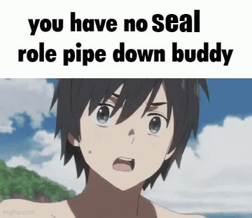 A Picture Of A Boy With The Words You Have No Seal Role Pipe Down Buddy GIF