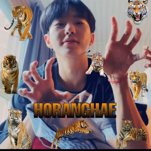 A Picture Of A Boy With Tigers Around Him And The Name Horanghae On The Bottom GIF