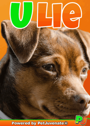 A Picture Of A Brown Dog With The Name Ulie Written Above It GIF