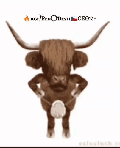 A Picture Of A Bull With The Words Kgf Red Devil Ceo GIF
