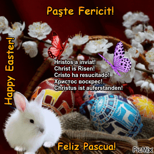 A Picture Of A Bunny And Easter Eggs With The Words Paste Fericit GIF