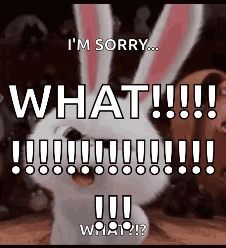 A Picture Of A Bunny That Says I 'M Sorry What What GIF