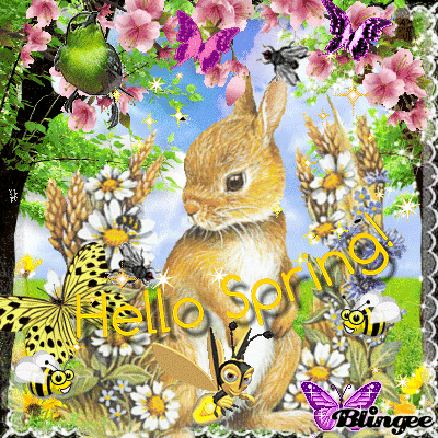 A Picture Of A Bunny With The Words " Hello Spring " Written On It GIF