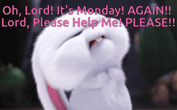 A Picture Of A Bunny With The Words Oh Lord It 'S Monday Again Lord Please Help Me Please GIF
