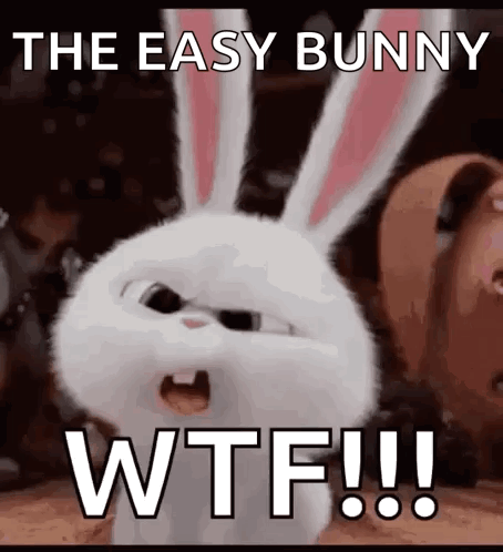 A Picture Of A Bunny With The Words " The Easy Bunny Wtf !!! " GIF