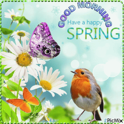 A Picture Of A Butterfly And A Bird With The Words Good Morning Have A Happy Spring GIF