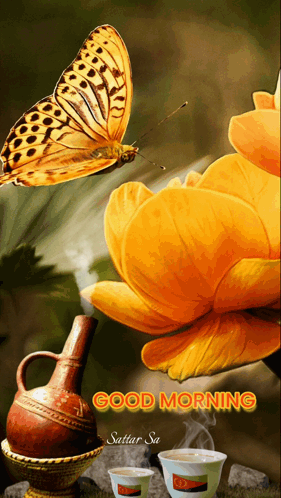 A Picture Of A Butterfly And A Flower With The Words Good Morning On It GIF