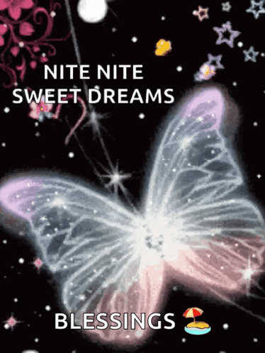 A Picture Of A Butterfly With The Words " Nite Nite Sweet Dreams Blessings " Below It GIF