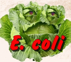 A Picture Of A Cabbage With The Word E.coli In Red GIF