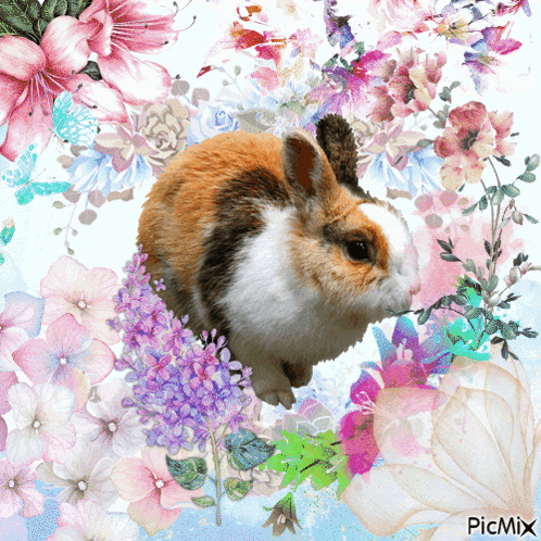 A Picture Of A Calico Rabbit Surrounded By Flowers And Butterflies With Picmix Written On The Bottom GIF