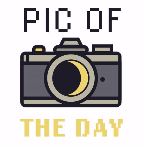 A Picture Of A Camera And The Words Pic Of The Day Below It GIF