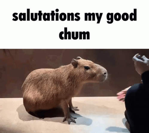 A Picture Of A Capybara With The Words Salutations My Good Chum GIF