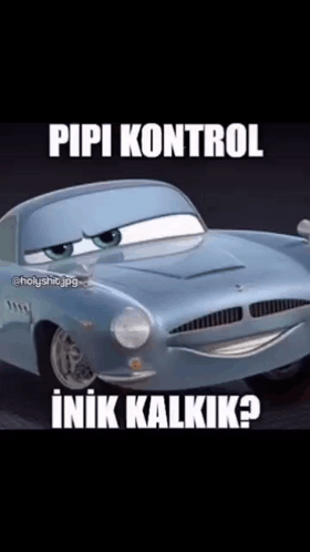 A Picture Of A Car With A Caption That Says ' Pipi Kontrol ' On It . GIF