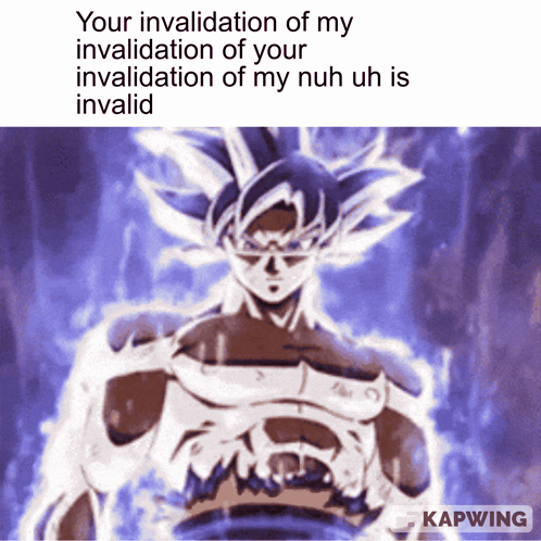 A Picture Of A Cartoon Character With The Caption Your Invalidation Of My Invalidation Of Your GIF