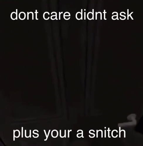 a picture of a cartoon character with the words " dont care didnt ask plus your a snitch "