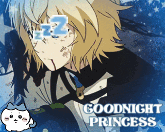 a picture of a cartoon character with the words goodnight princess on it