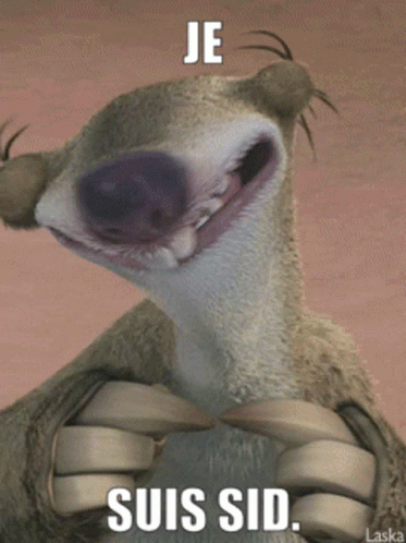 A Picture Of A Cartoon Character With The Words Je Suis Sid On It GIF