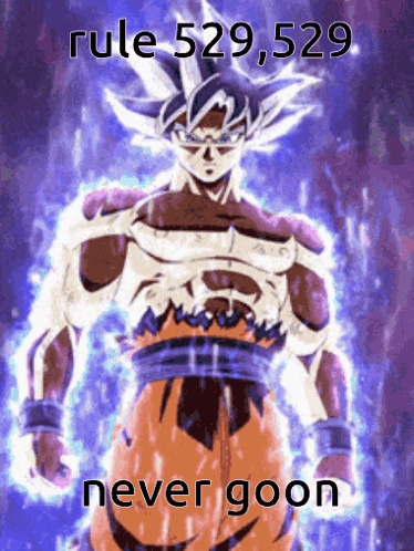 A Picture Of A Cartoon Character With The Words Rule 529,529 Never Goon Below Him GIF