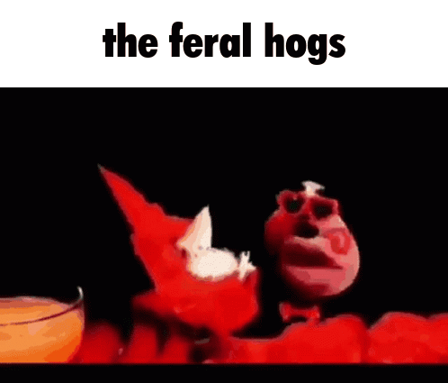 A Picture Of A Cartoon Character With The Words `` The Feral Hogs '' Written Above It . GIF