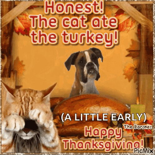 A Picture Of A Cat And A Dog With The Caption " Honest The Cat Ate The Turkey A Little Early Happy Thanksgiving " GIF