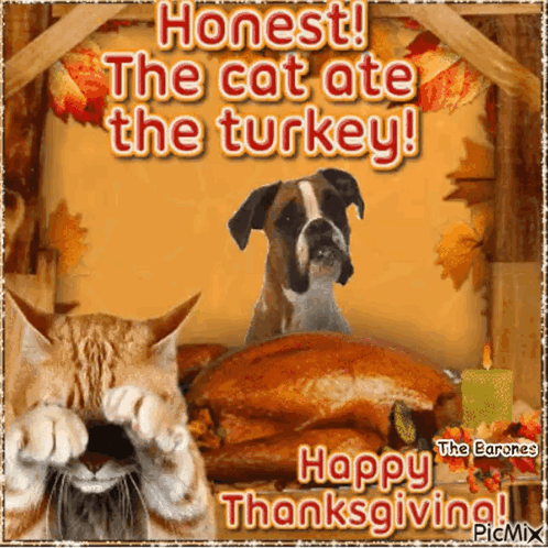 A Picture Of A Cat And A Dog With The Caption " Honest The Cat Ate The Turkey Happy Thanksgiving " GIF