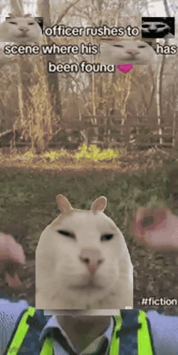 A Picture Of A Cat And A Man With The Caption Officer Rushes To Scene Where His Been Found GIF
