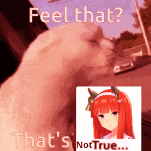 A Picture Of A Cat And A Picture Of A Girl With The Words Feel That And That 'S Not True GIF