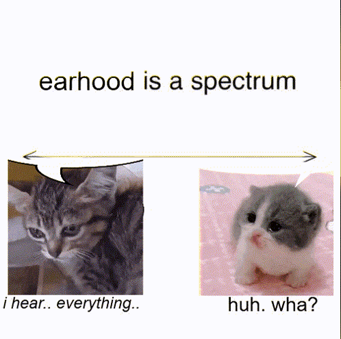 A Picture Of A Cat And A Picture Of A Kitten With The Words " Earhood Is A Spectrum " GIF