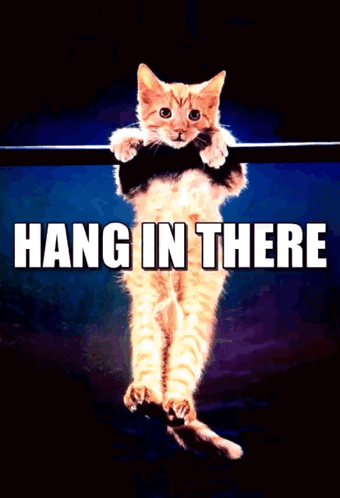 A Picture Of A Cat Hanging On A Bar With The Words Hang In There Below It GIF