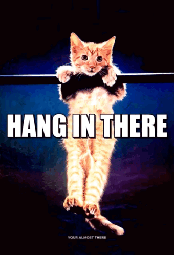 A Picture Of A Cat Hanging On A Bar With The Words Hang In There Below It GIF