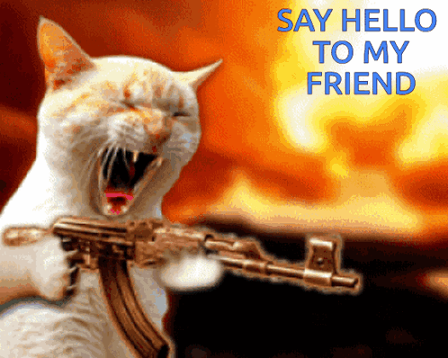 A Picture Of A Cat Holding A Gun With The Words Say Hello To My Friend Above It GIF
