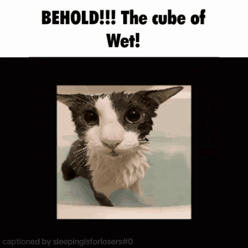 A Picture Of A Cat In A Bathtub With The Caption " Behold The Cube Of Wet " GIF
