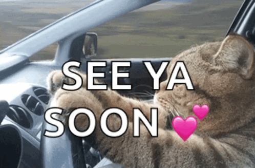 A Picture Of A Cat In A Car With The Words See Ya Soon Below It GIF