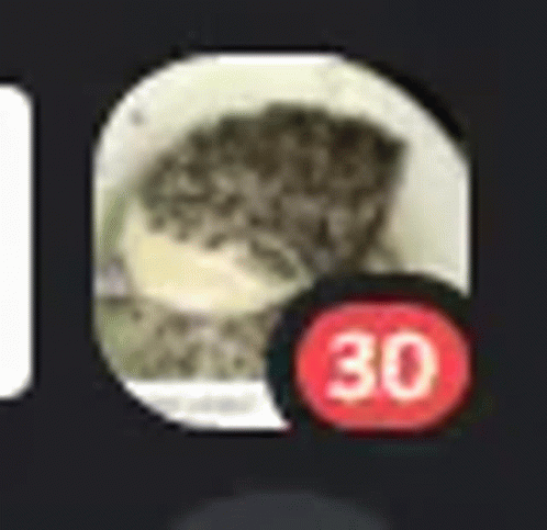 Cat In Circle With Red 30 Icon GIF