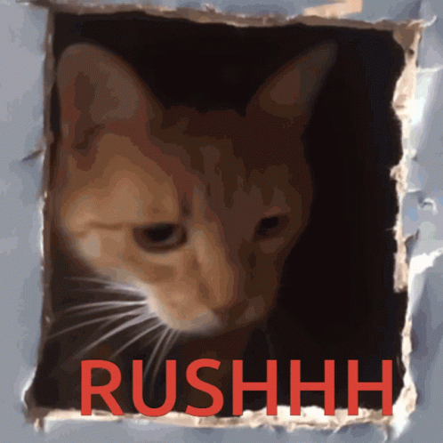 a picture of a cat in a hole with the word rushhh on it