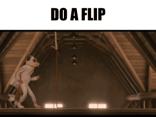 A Picture Of A Cat In An Attic With The Words Do A Flip GIF