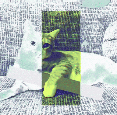 A Picture Of A Cat Laying On A Couch With A Green Stripe GIF