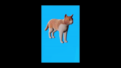 A Picture Of A Cat Looking Up At The Sky GIF
