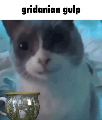 A Picture Of A Cat Next To A Cup With The Caption Gridanian Gulp GIF