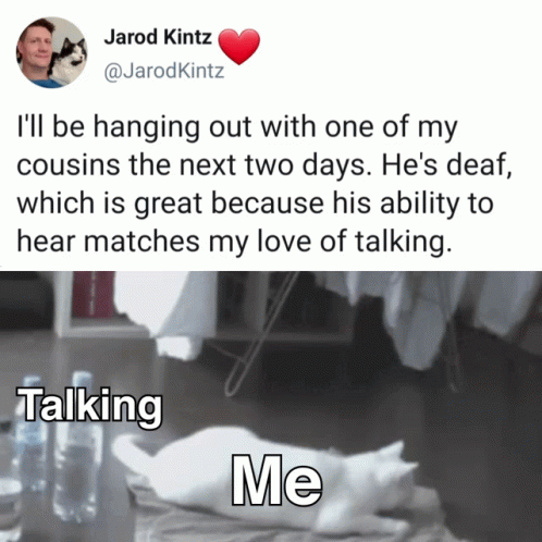 A Picture Of A Cat Next To A Tweet By Jarod Kitz GIF