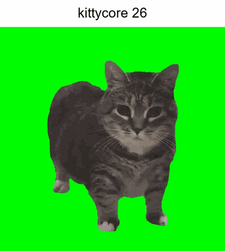 A Picture Of A Cat On A Green Screen With The Words Kittycore 26 Below It GIF