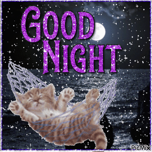 A Picture Of A Cat Sleeping In A Hammock With The Words " Good Night " GIF