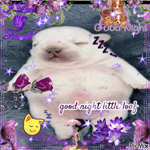 A Picture Of A Cat Sleeping With The Words Good Night Little Leaf GIF