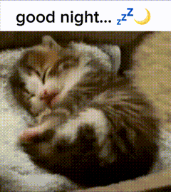 a picture of a cat sleeping with the words good night zzz