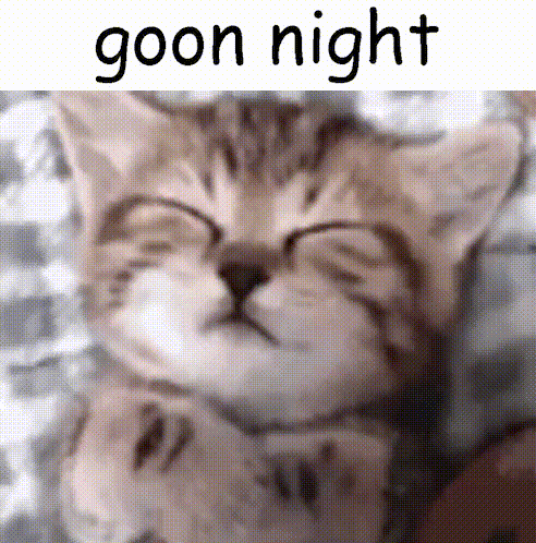 A Picture Of A Cat Sleeping With The Words Goon Night Above It GIF